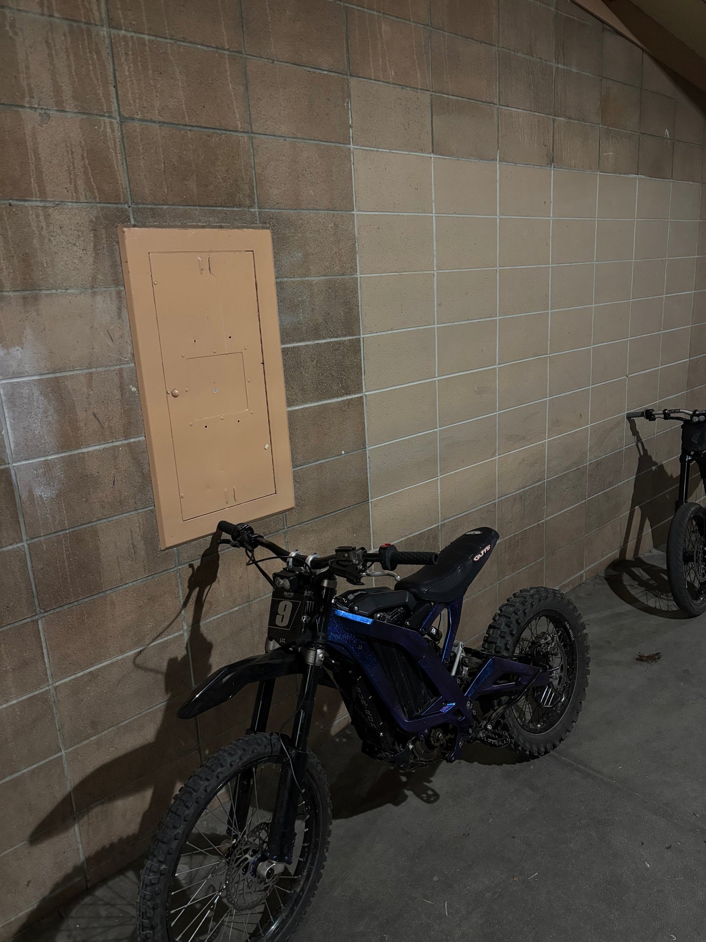 Light Bee Painted Frame Guards