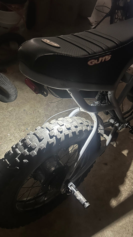 Ridstar Plug n Play Rocklight