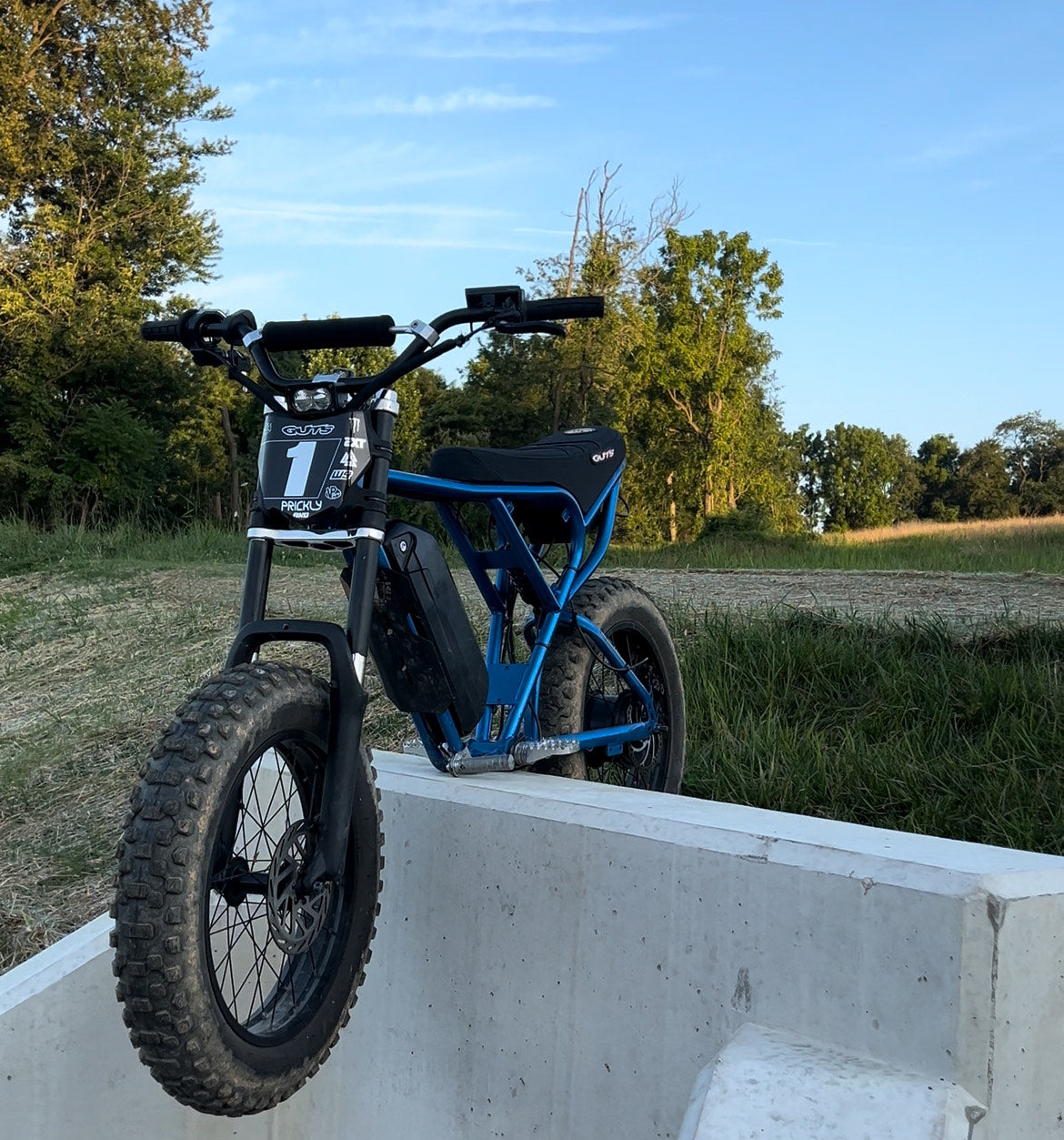 Plug n Play Ridstar/Super73 Baja Headlight