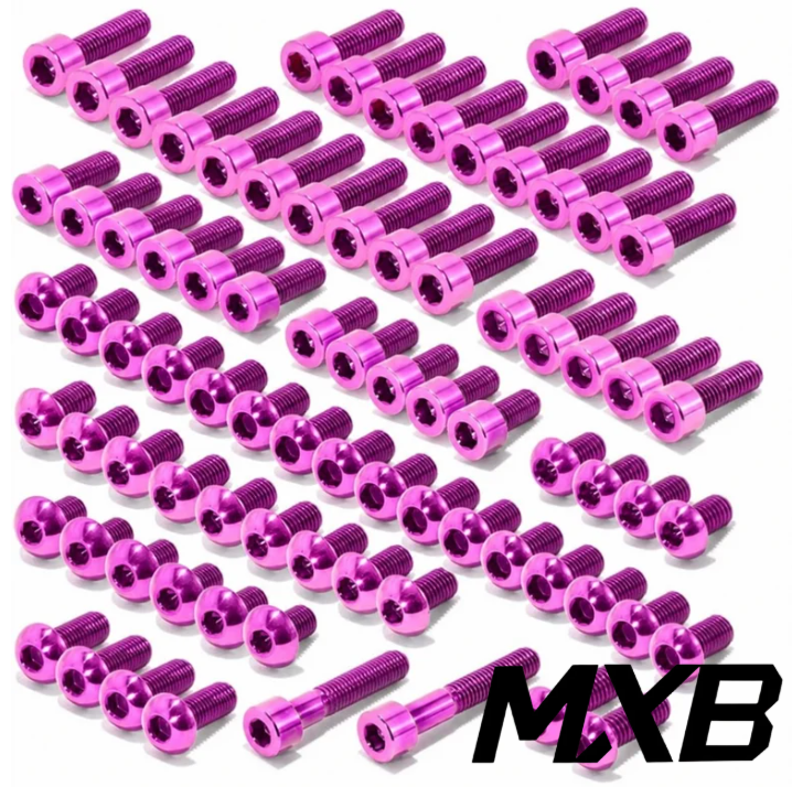 Surron Light Bee/Segway/Falcon/79 Bike Titanium Bolt Kit